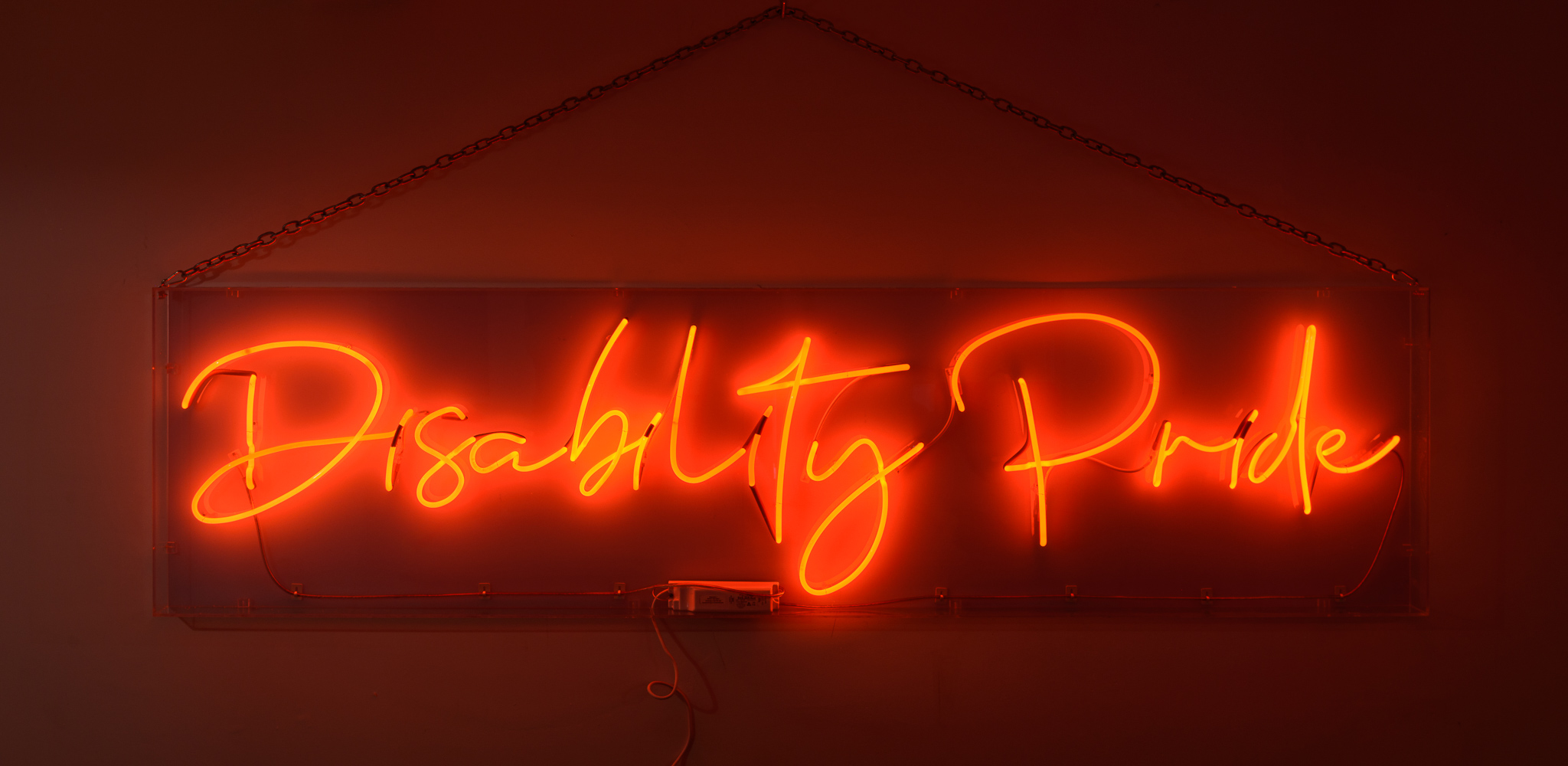 The wording reads on the artwork. 'Disability Pride'- in pink neon lights in a stylised handwritten font The neon words are framed inside a transparent perspex box.