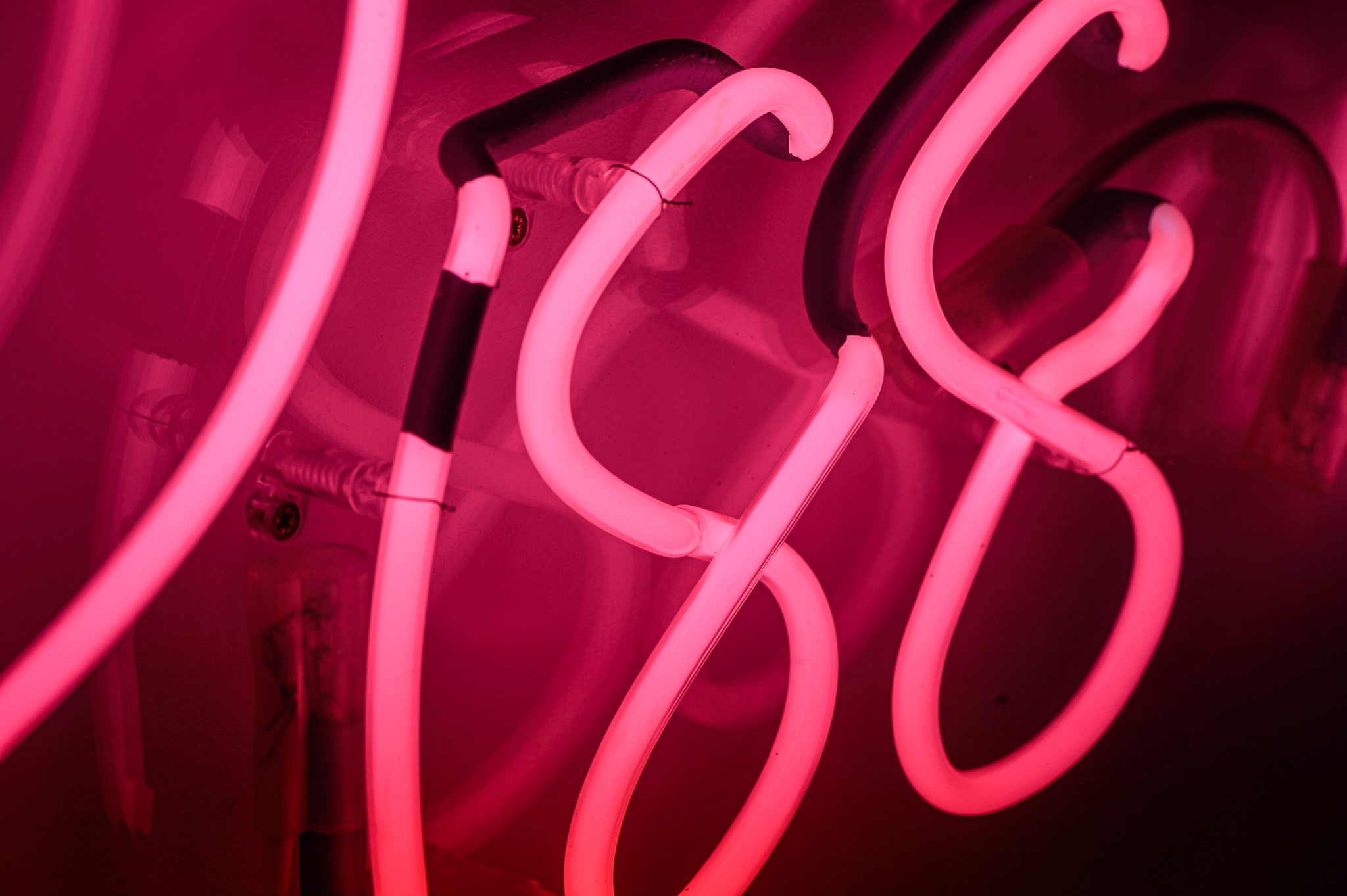 Close up photo of the artowrk in bright pink neon lights quite flamboyant in a stylised handwritten font. The neon words are framed inside a transparent Perspex box. 