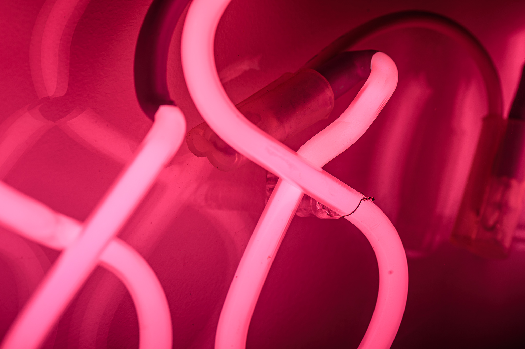 Close up photo of the artwork in bright pink neon lights quite flamboyant in a stylised handwritten font. The neon words are framed inside a transparent Perspex box. 