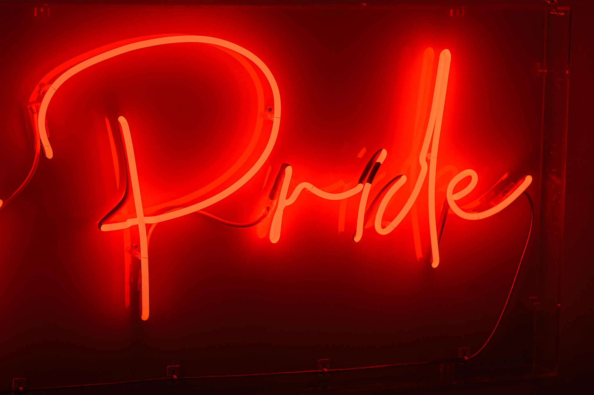 Close up photo of the word 'Pride' in pink neon lights in a stylised handwritten font The neon words are framed inside a transparent Perspex box.