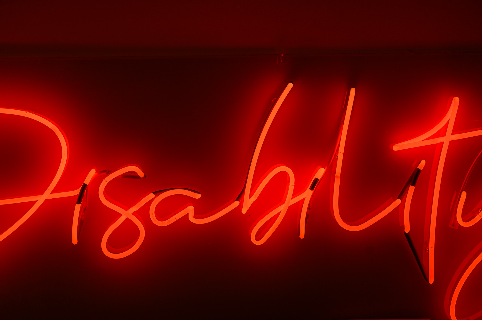 Close up photo of the word 'Disability' in pink neon lights in a stylised handwritten font The neon words are framed inside a transparent Perspex box.