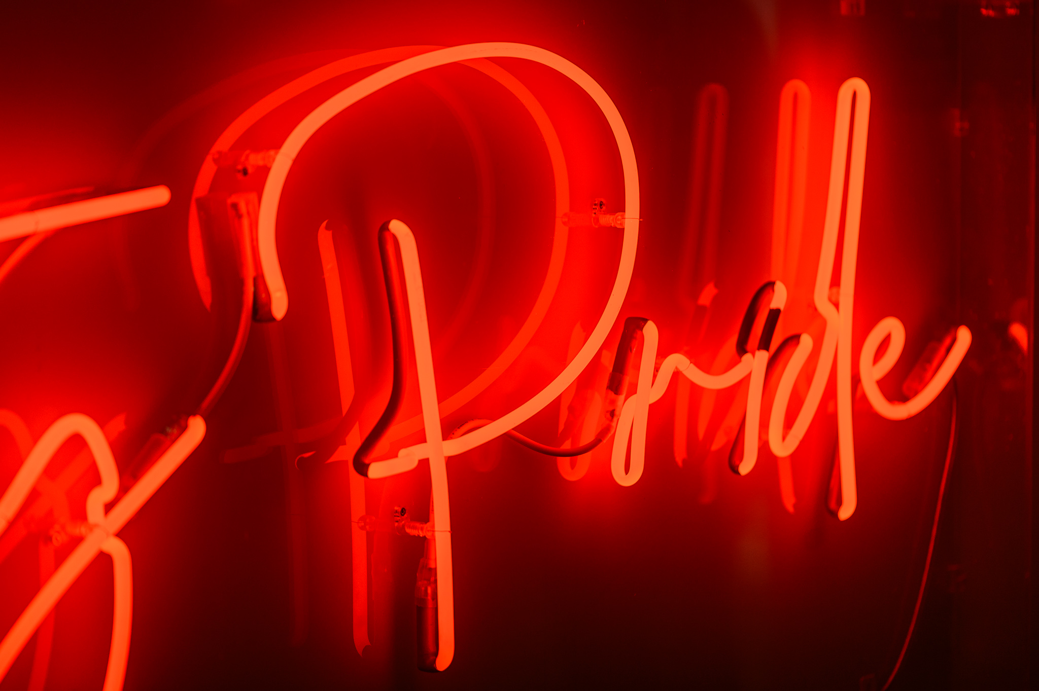 Close up photo of the word 'Pride' in pink neon lights in a stylised handwritten font The neon words are framed inside a transparent Perspex box.