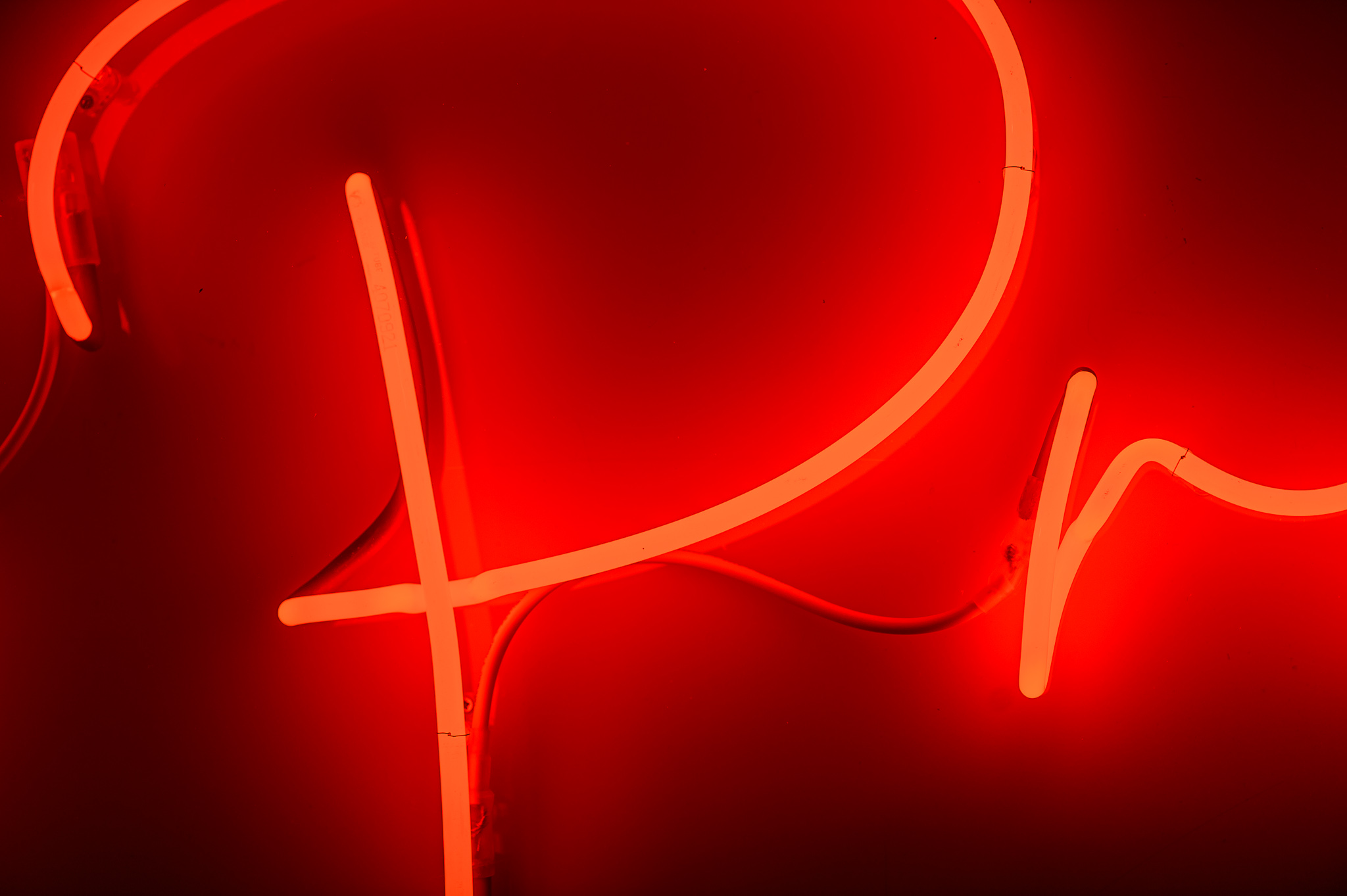 Close up photo of the artwork in pink neon lights in a stylised handwritten font The neon words are framed inside a transparent Perspex box.